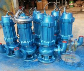 WQ(QW)型高效無(wú)堵塞排污泵WQ150-145-9-7.5